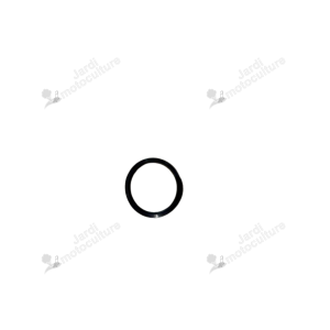Bague Iseki 1506-413-011-00