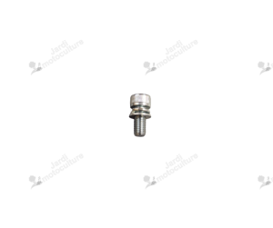 Boulon d’origine Echo 9111805012