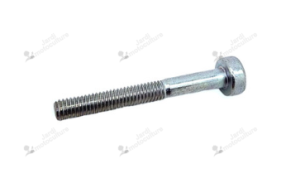 Boulon d’origine ECHO V805000070