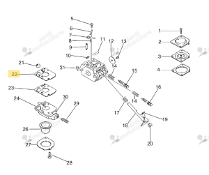 Diaphragme Echo 12531242030
