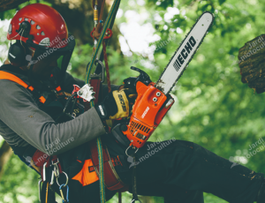 Elagueuse CS362TES Echo