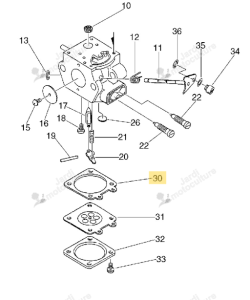 Joint ECHO 12314003930