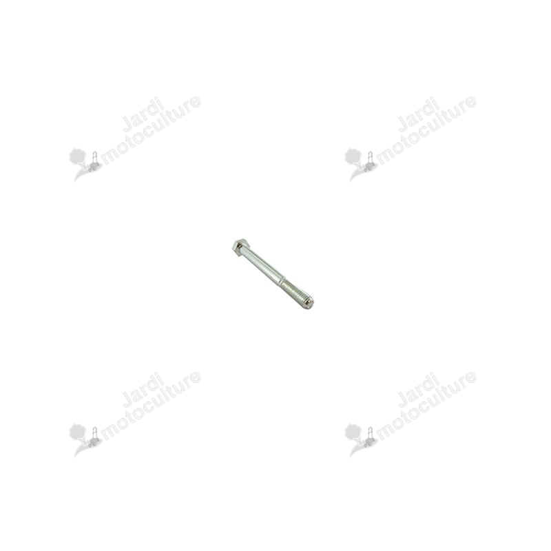 Vis Hexagonale Castelgarden 112692050