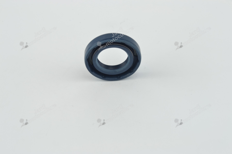 Bague à lèvre 20x035x07