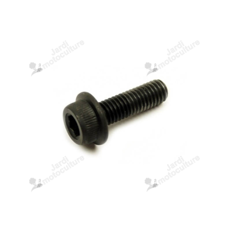 Boulon ECHO 90010605016