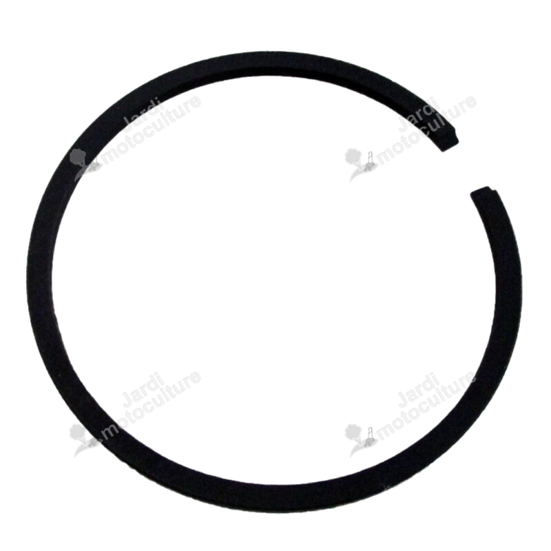 Segment ECHO 10001110530