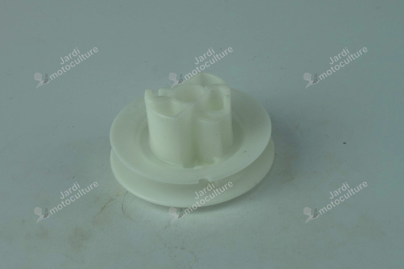 Poulie De Lanceur Pour Moteur Aspera/Tecumesh