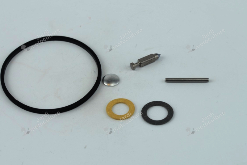 Kit réparation Walbro K10-LMJ