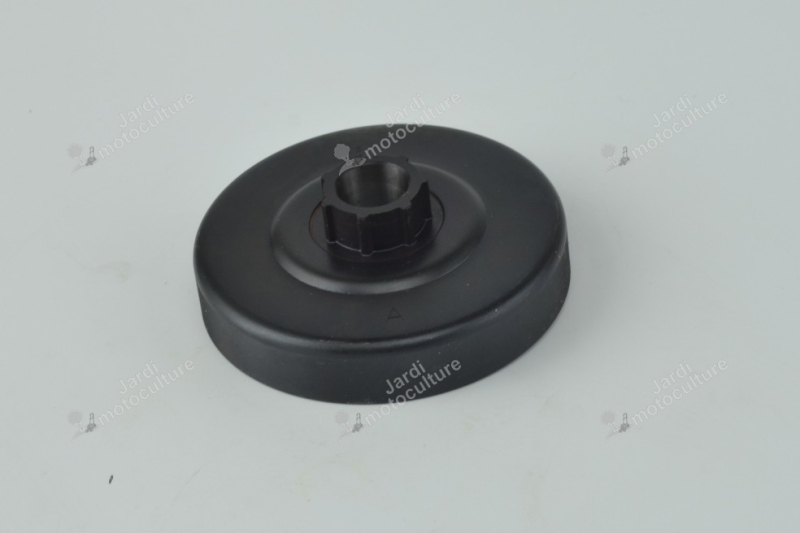 Pignon Echo A556000441