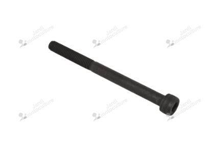Vis 6 pans Echo 90010505060