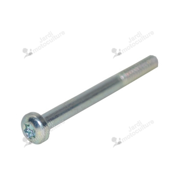 Boulon boitier filtre V805000040