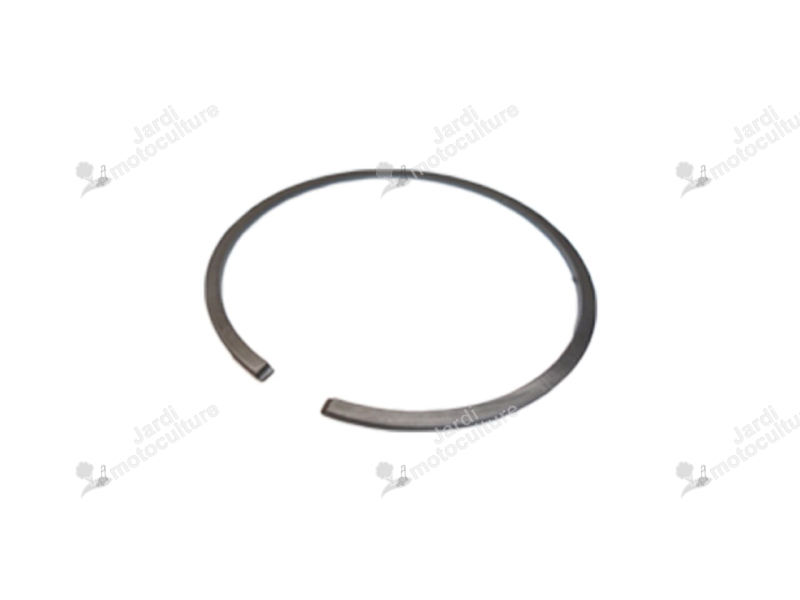 Segment piston Echo CS620SX