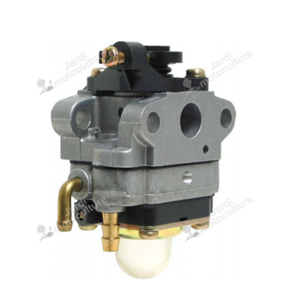 Carburateur Echo A021002120