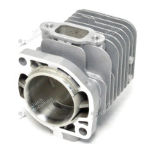CYLINDRE Echo A130001960