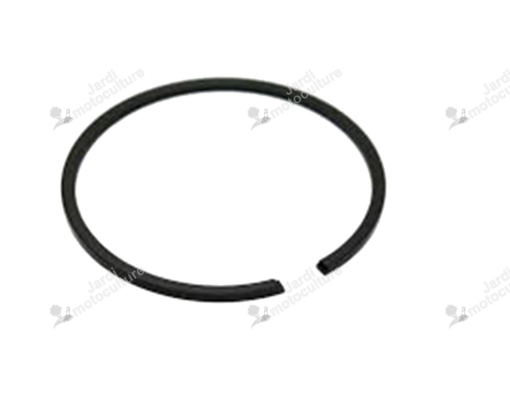 SEGMENT Echo A101000030