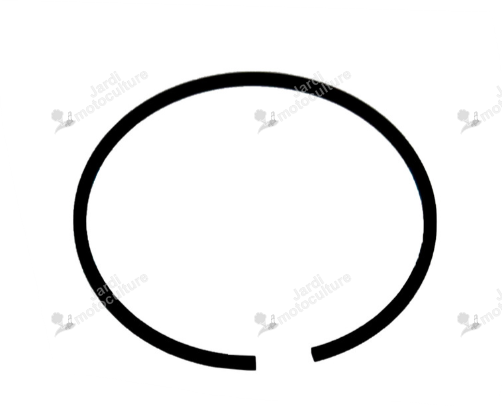 SEGMENT Echo A101000470