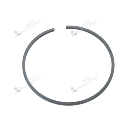 SEGMENT Echo A101000280