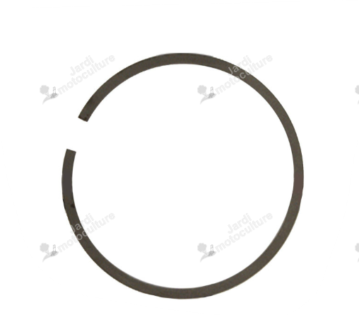 SEGMENT Echo A101000240