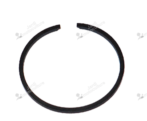 UN SEGMENT Echo A101000230