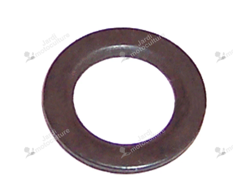 PLAQUE Echo & Shindaiwa V307000330