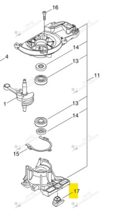 Segment Bloc Echo & Shindaiwa V420003980