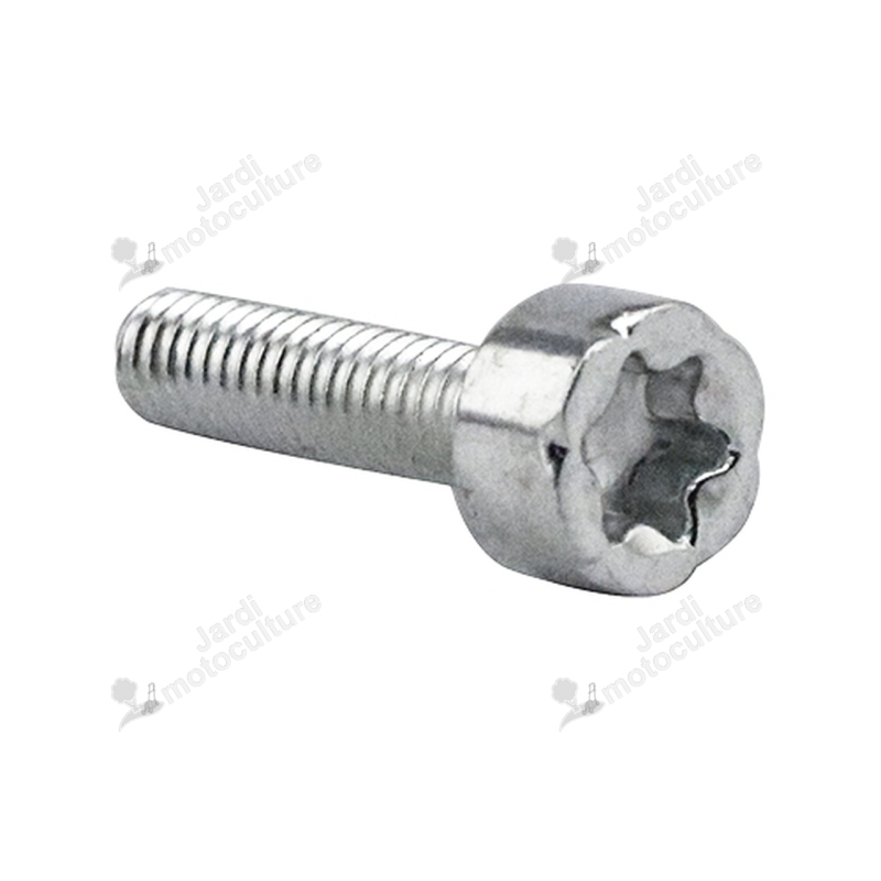 Boulon Torx 5×12 V805000140 Echo