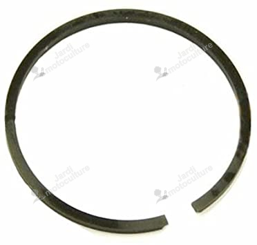 Segment Piston Echo 10001132330