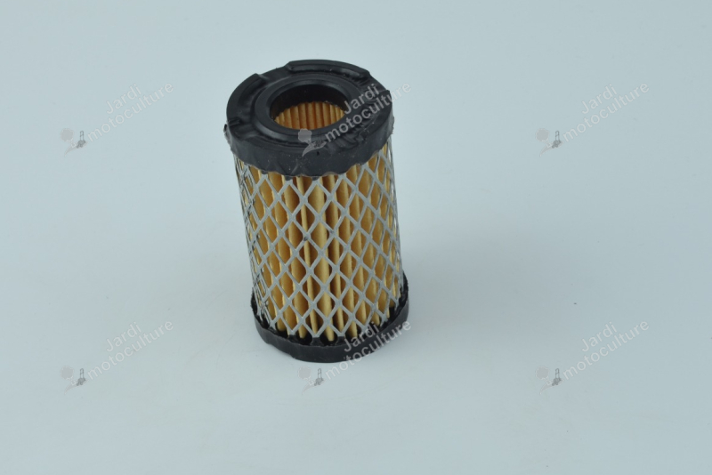 Filtre à air pour moteur Tecumseh 35066