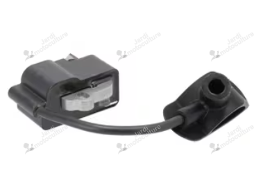 Bobine d'allumage 42494001300