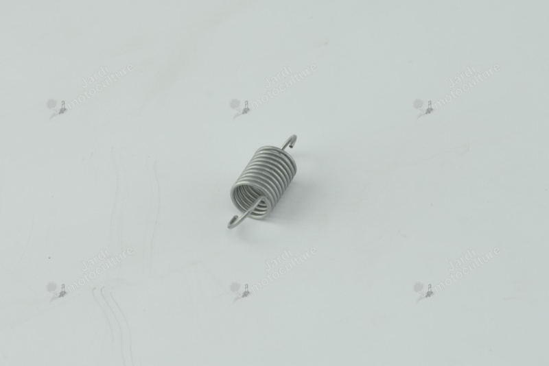 Ressort régulateur Briggs & Stratton 260545