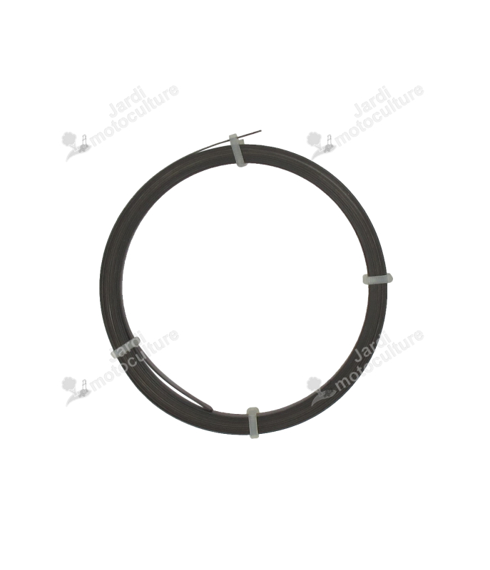 Ressort de lanceur Briggs & Stratton 294303-490179