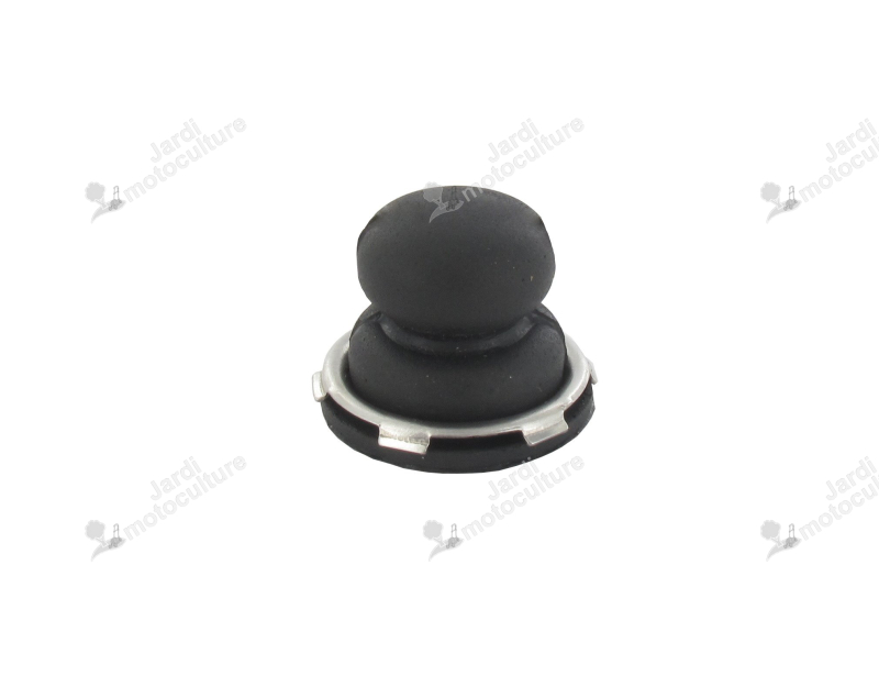 Pompe d'amorçage TECUMSEH 36045