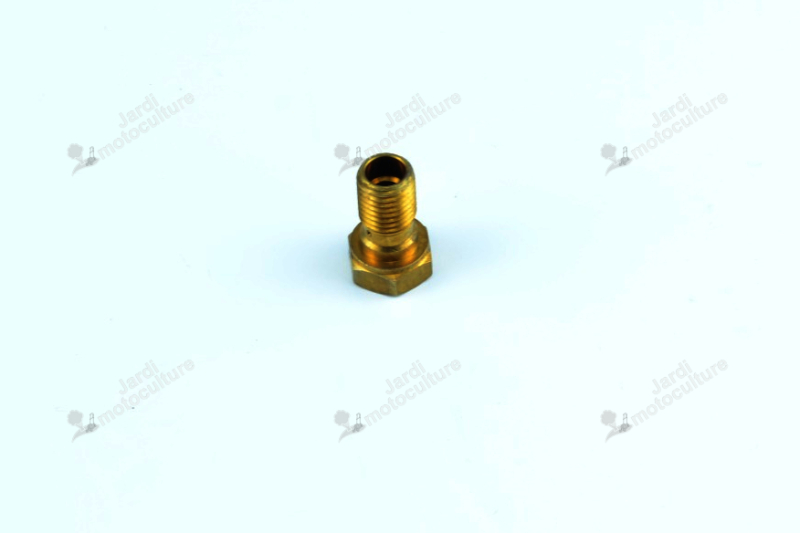 Vis cuve carburateur TECUMSEH 29320047