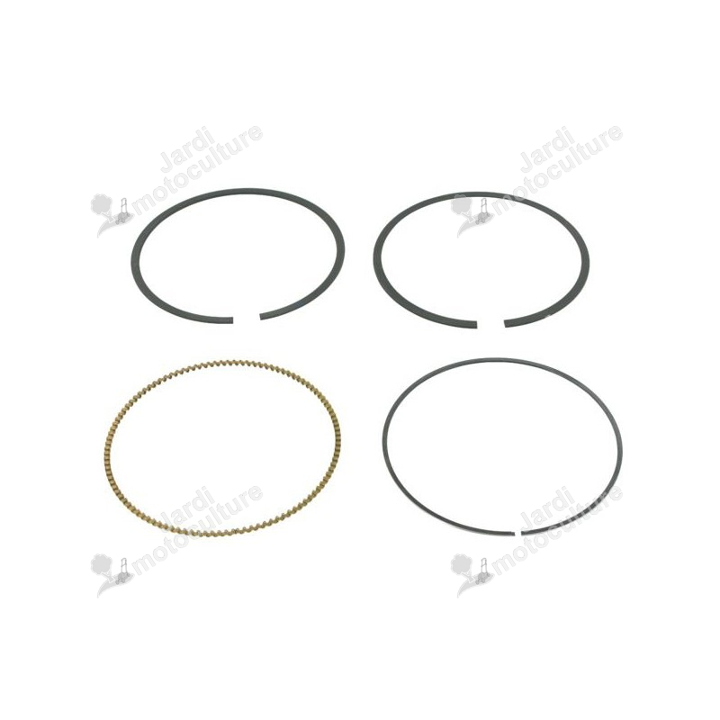 Kit segment BRIGGS et STRATTON 792306