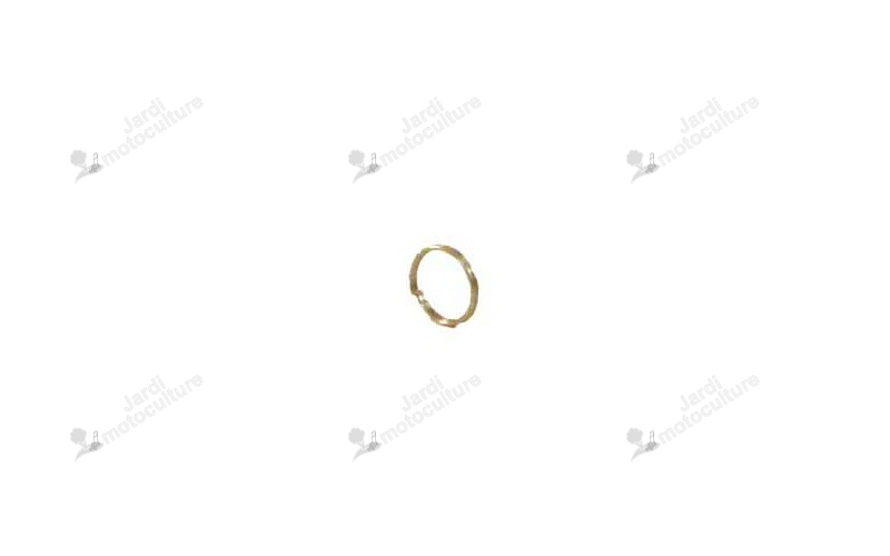 Clip V490000500 Echo