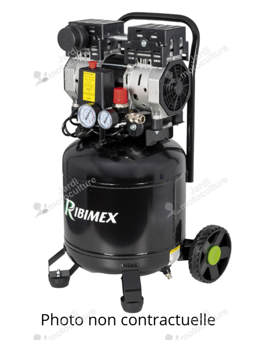 Compresseur vertical silencieux RIBIMEX PRCOMP12-24SILVR – 24 L – Sans huile