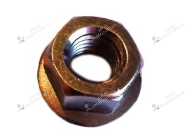 Ecrou d'axe ISEKI V360-260-012-00