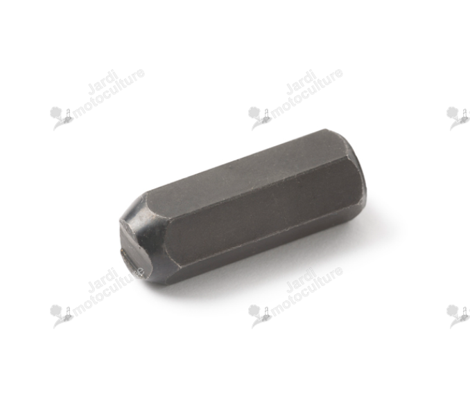 Enclume 1/4" – 0,325" (R.S) 38598 Oregon Tool