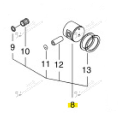 Piston Complet Echo 10000039230