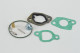 Kit réparation carburateur pour moteur Briggs & Stratton