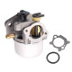 Carburateur Briggs & Stratton Adaptable