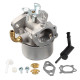 Carburateur pour moteur Briggs & Stratton 798653