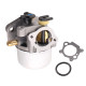 Carburateur Briggs & Stratton 799871 790845 794304 796707 799464 799866