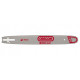 Pack de 1 guide 138PXBD025 + 2 chaînes 21BPX056E OREGON ref 543480