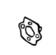 Joint Echo A205000020