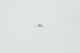 Ressort cliquet 17723412220 Echo