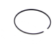 SEGMENT Echo A101000560