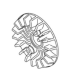 TURBINE Echo A171000060