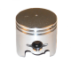Piston Echo A100000610