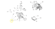 Nez Complet ECHO P021016170